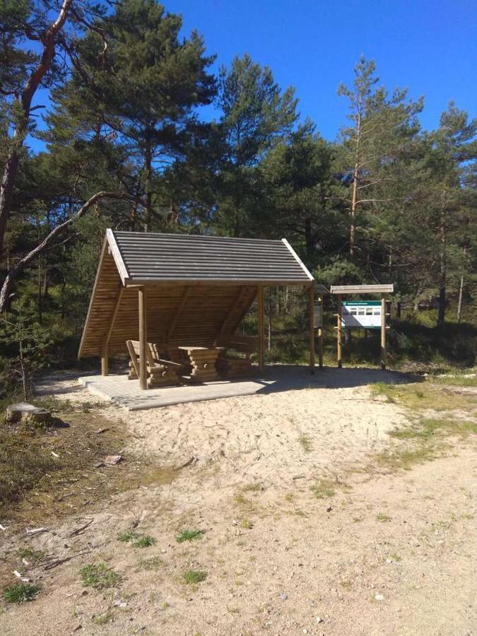 Apartament Bursztynowe Wczasy Sasino Zewnętrze zdjęcie