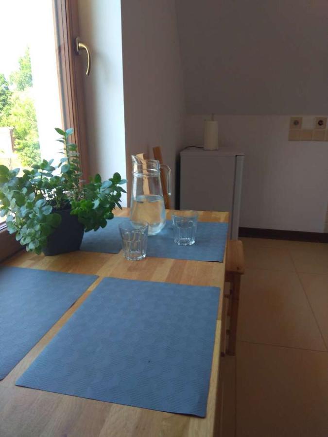 Apartament Bursztynowe Wczasy Sasino Zewnętrze zdjęcie
